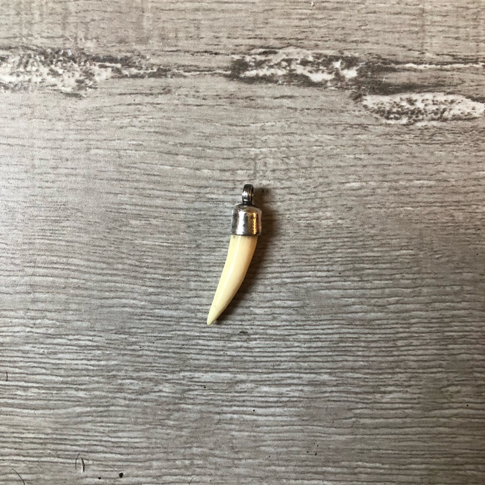 Tooth and Silver Pendant